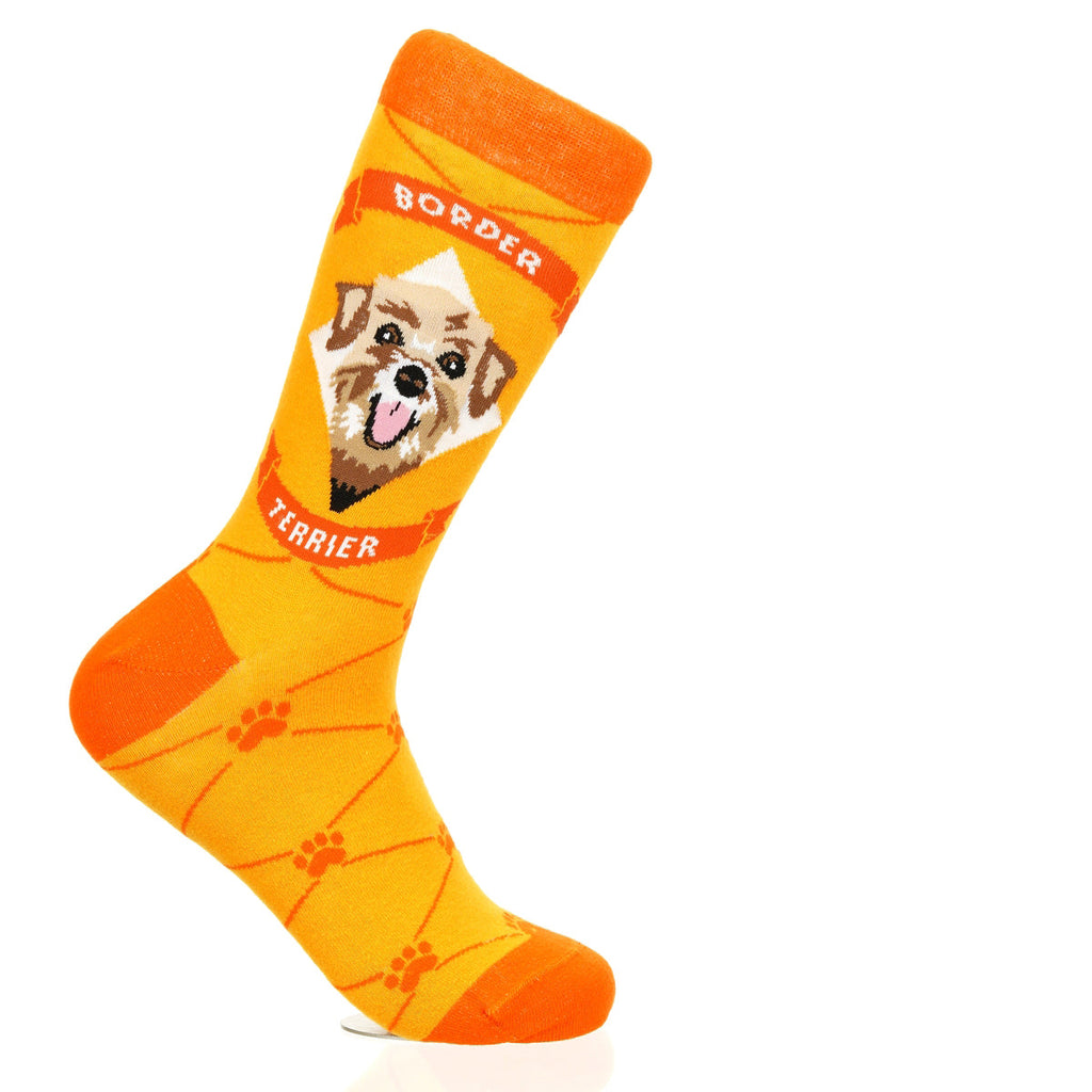 Border Terrier | Argyle Pups