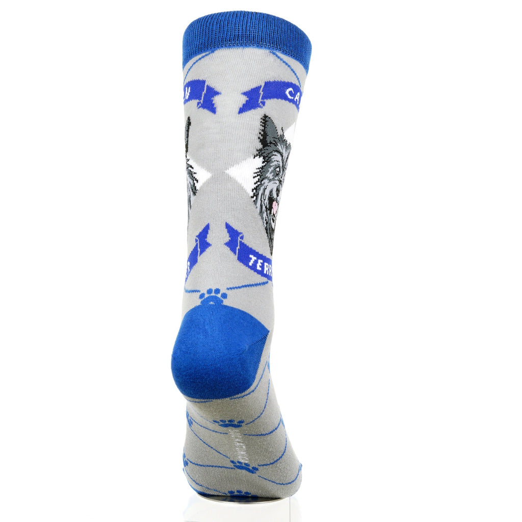 Cairn Terrier | Argyle Pups