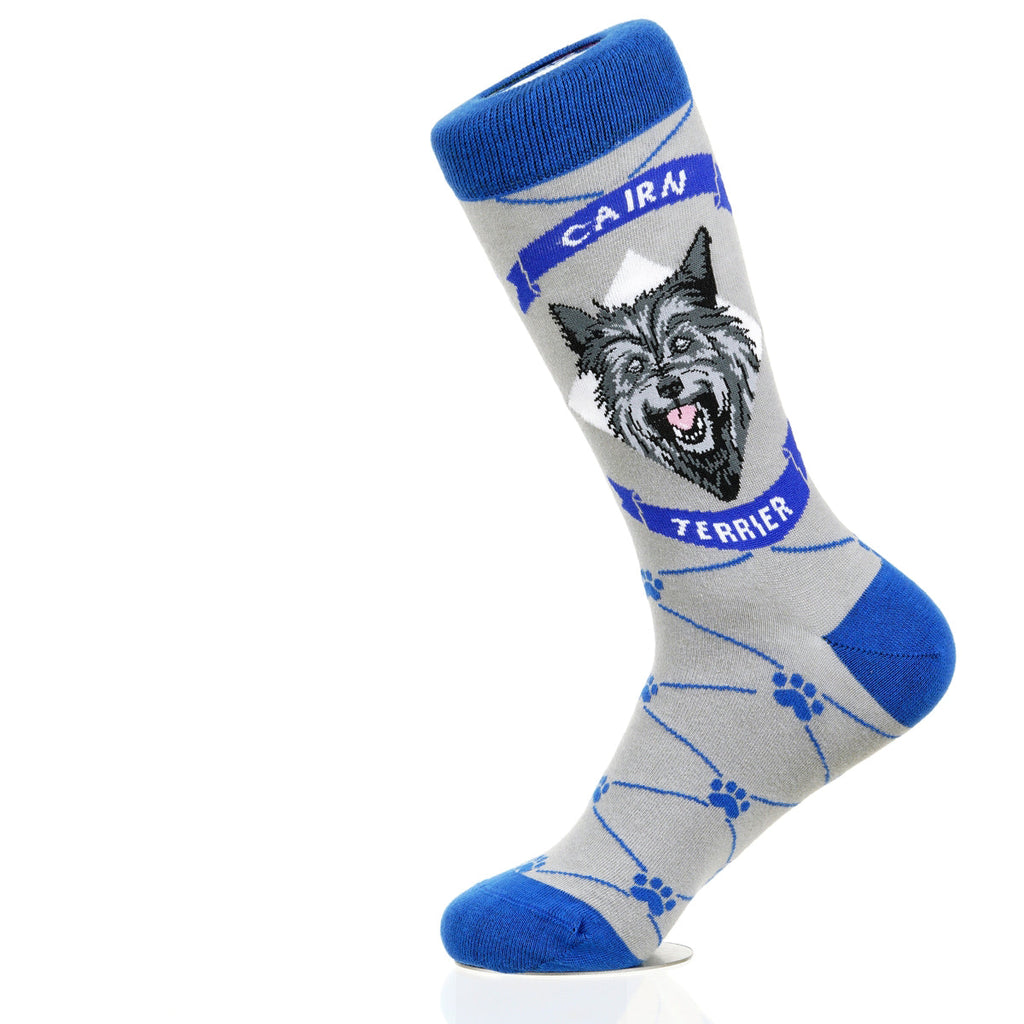 Cairn Terrier | Argyle Pups