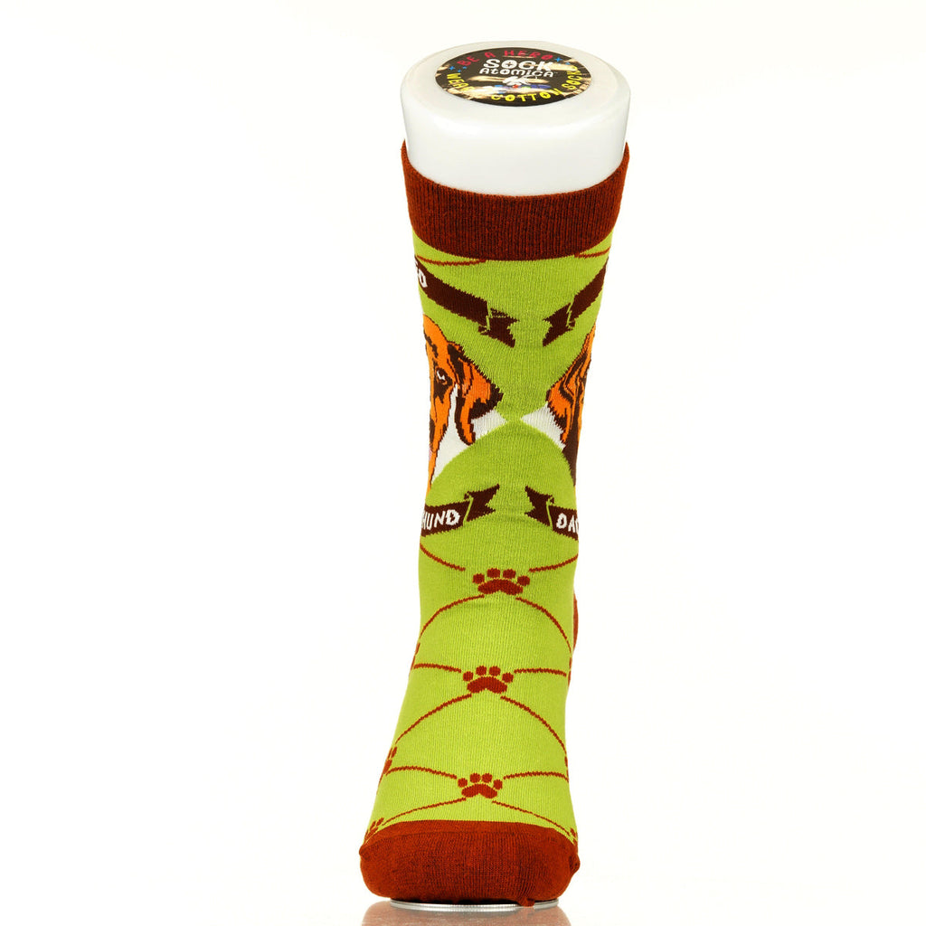 Dachshund Red | Argyle Pups