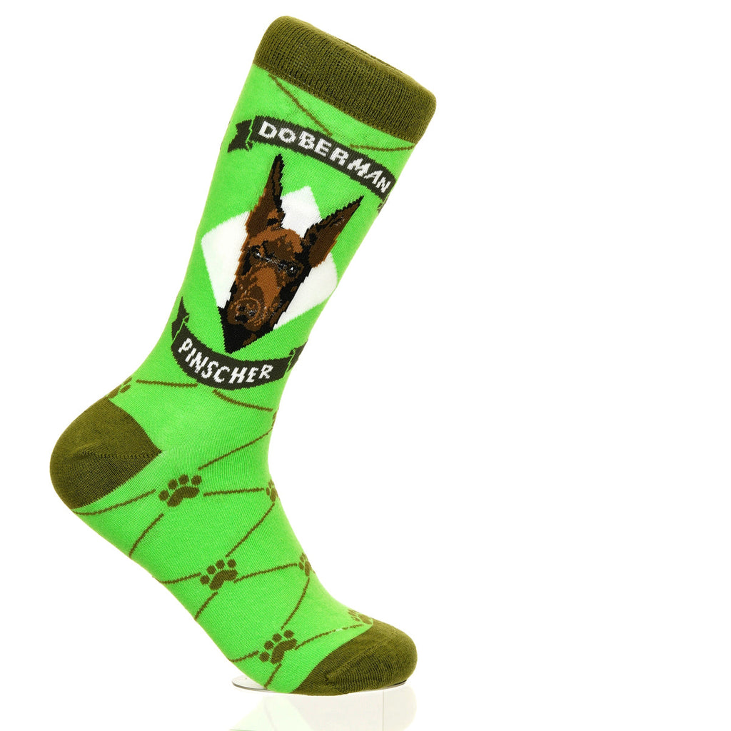 Doberman Pinscher | Argyle Pups